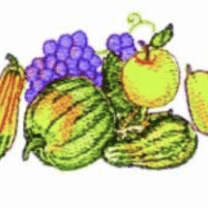 Colorful illustration of assorted fruits: grapes, apple, pear, melon, and gourds.